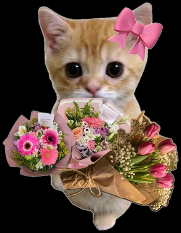 Kitten sticker